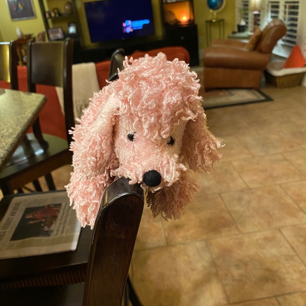 Webkinz - Picture 4 of 4